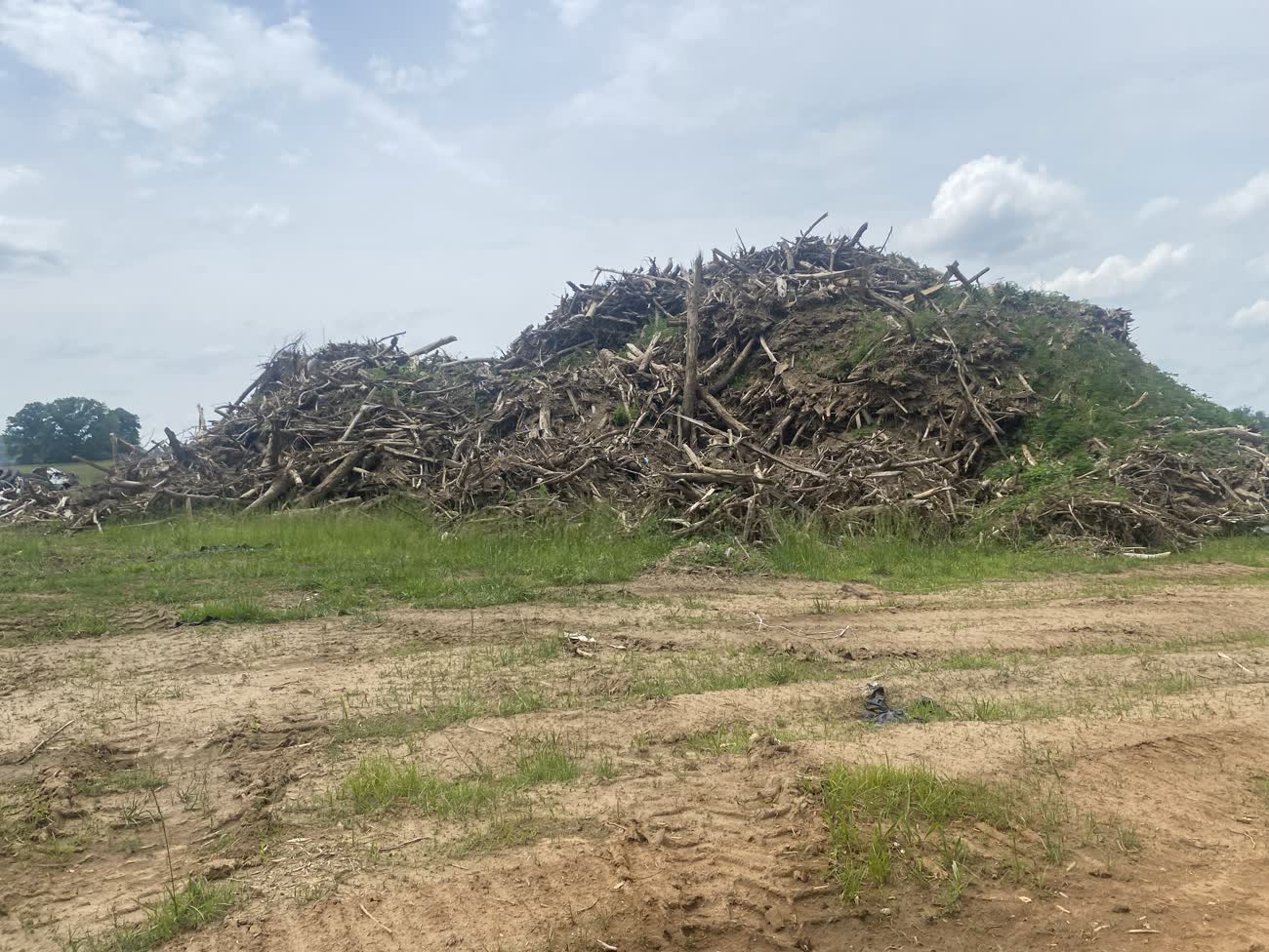 Another woody debris windrow at Runion Family Farm, showing the volume of storm debris collected across the property