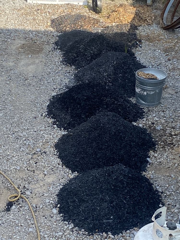 Biochar output curing