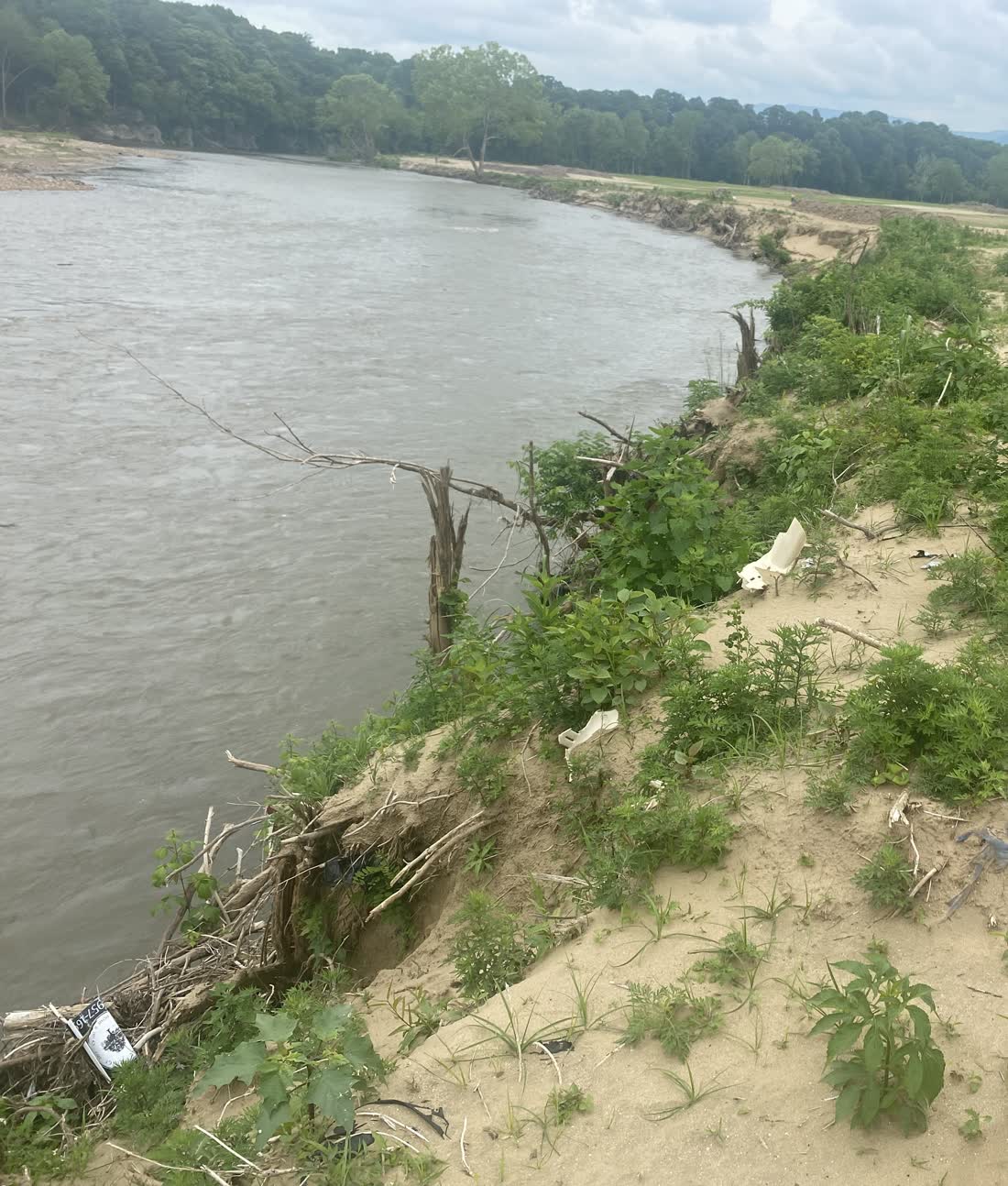 Riverbank destabilization and loss of streamside trees, since stabilized with biochar restoration