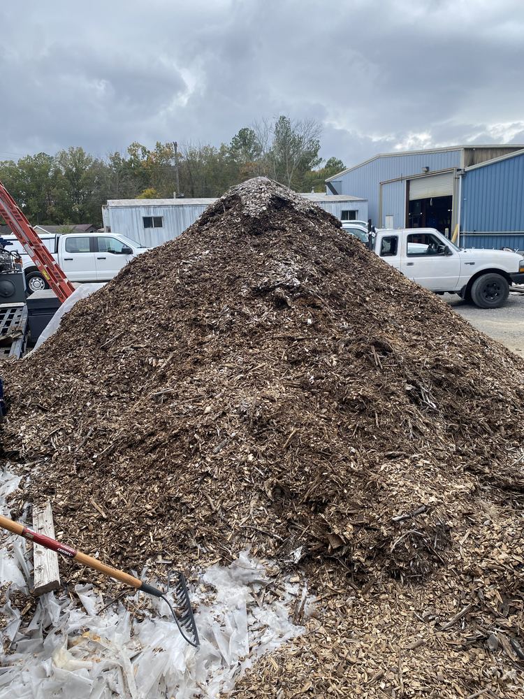 Wood-chip feedstock pile