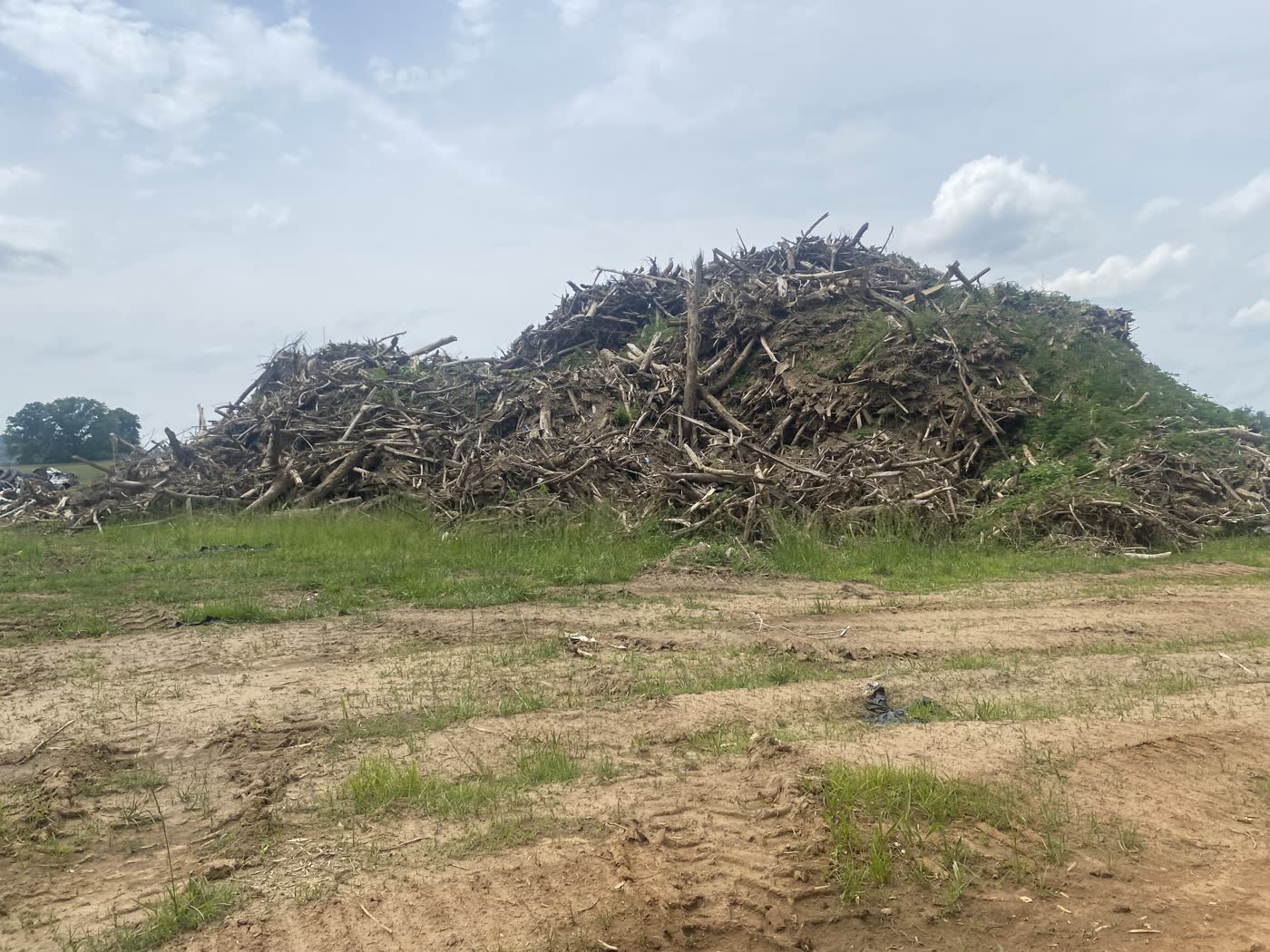 Woody debris windrow at Runion Family Farm, staged after the flood